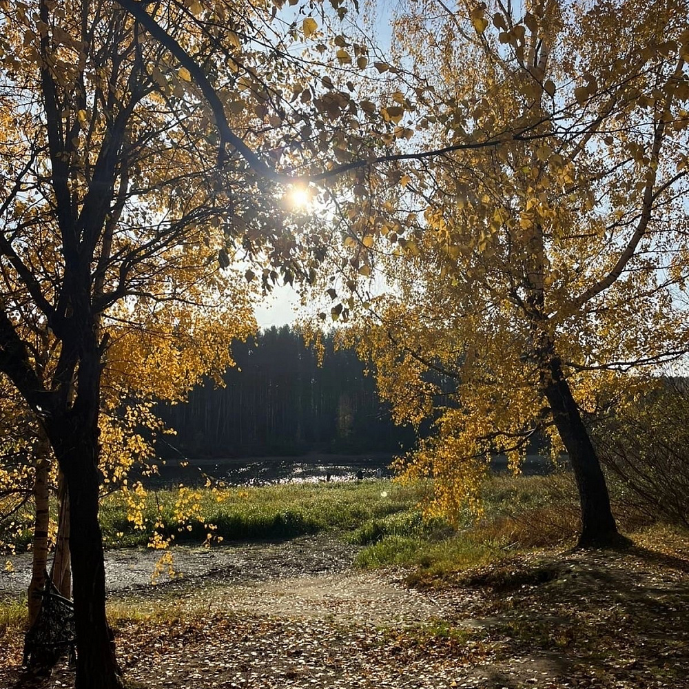 Семейный Парк Черная Речка