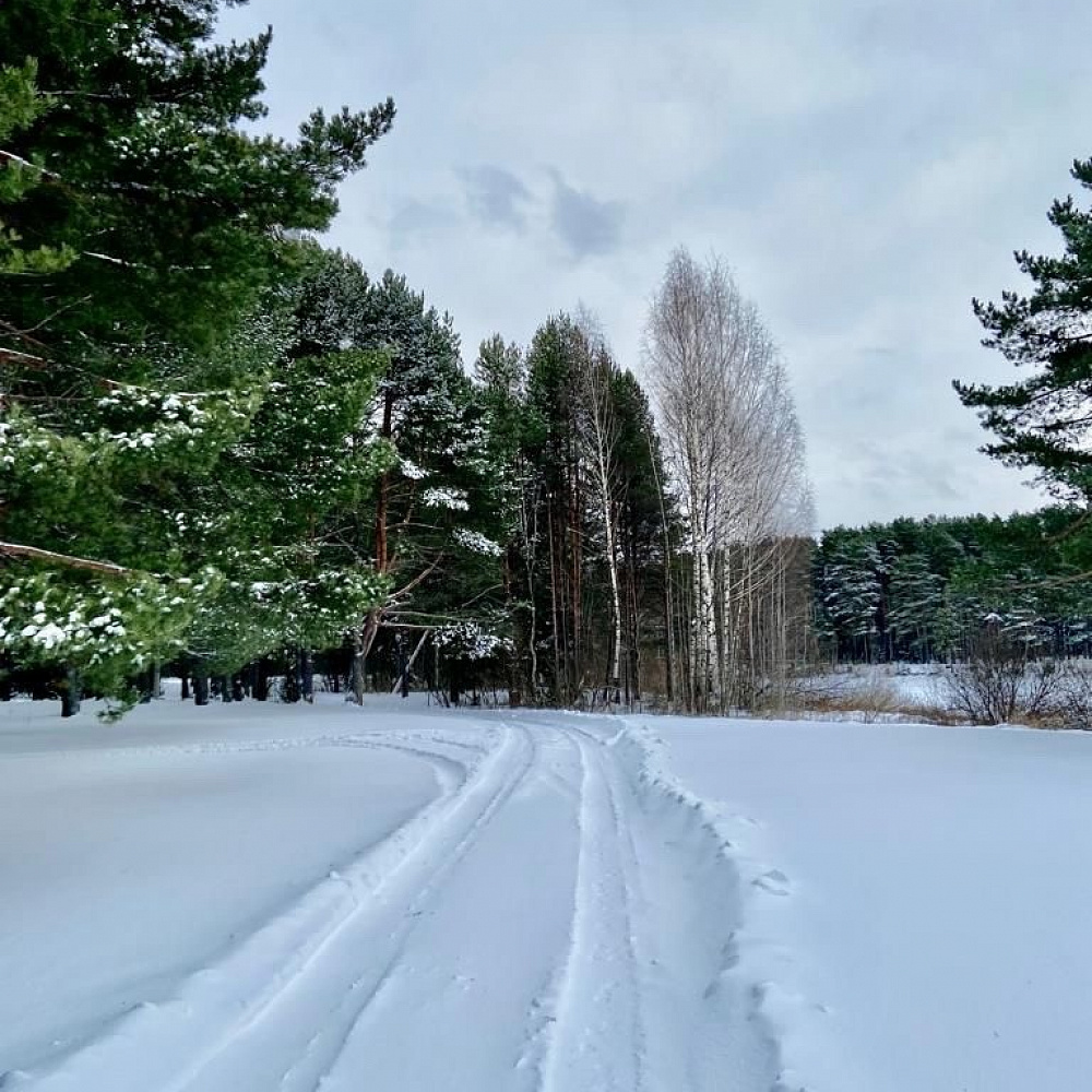 Семейный Парк Черная Речка