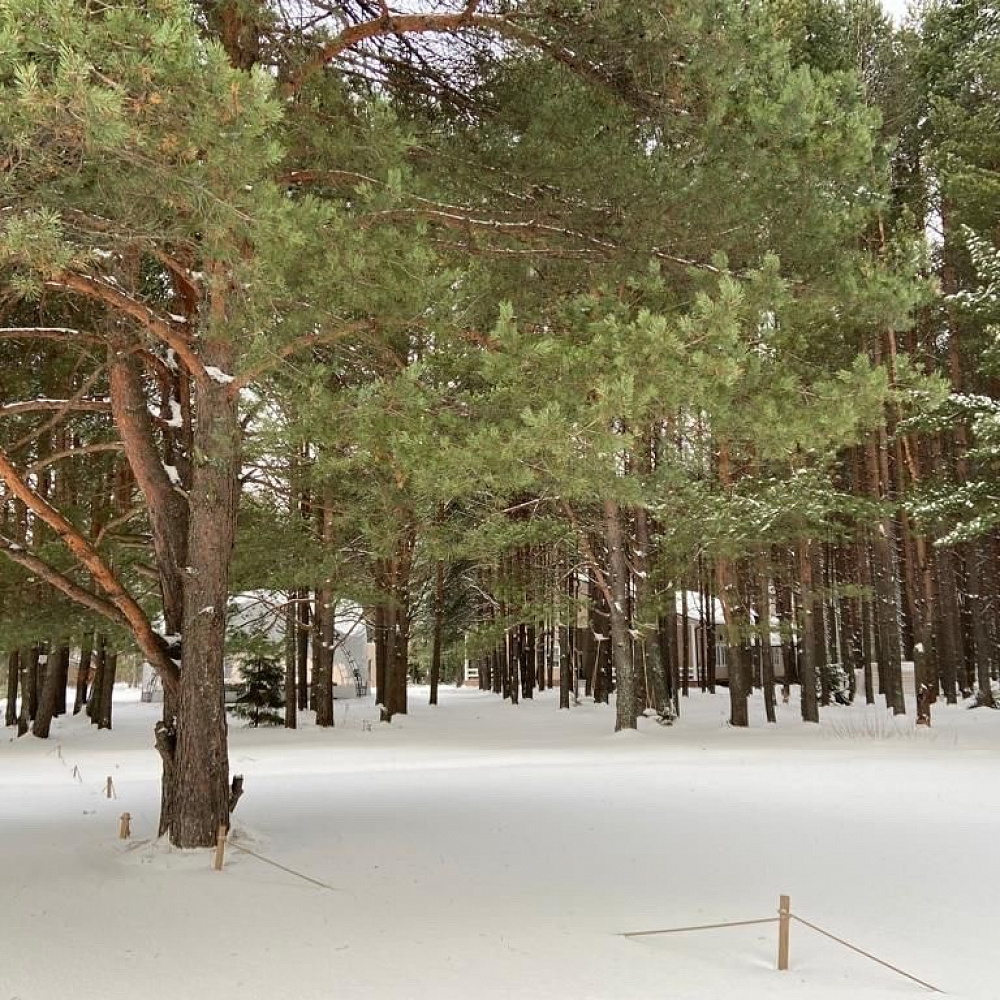 Семейный Парк Черная Речка