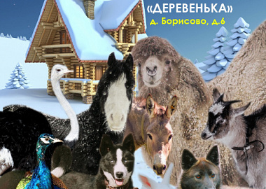 Жители экофермы "Деревенька" в Борисово